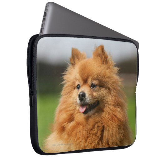 Spitz-Aufpassen Laptopschutzhülle (Vorne Rechts)