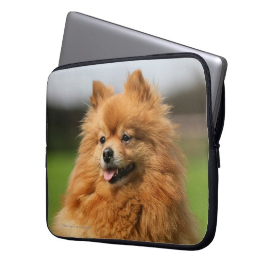 Spitz-Aufpassen Laptopschutzhülle (Vorderseite Links)