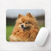 Spitz-Aufpassen Mousepad (Mit Mouse)