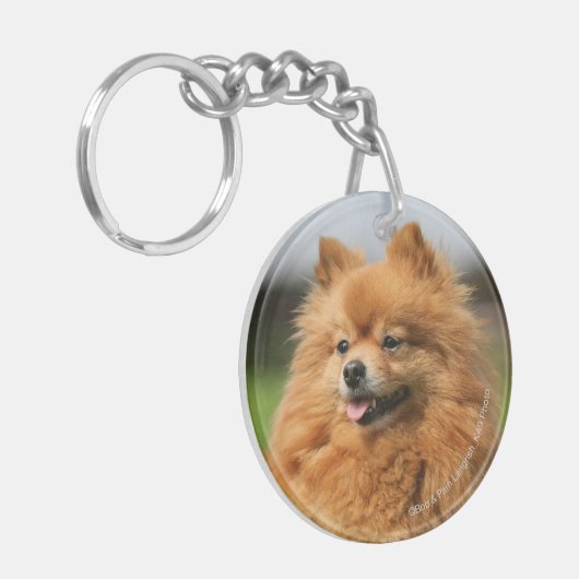 Spitz-Aufpassen Schlüsselanhänger (Vorderseite links)