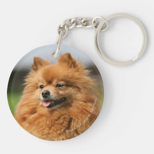 Spitz-Aufpassen Schlüsselanhänger (Rückseite)