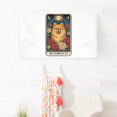 Spitz Banner (Insitu)