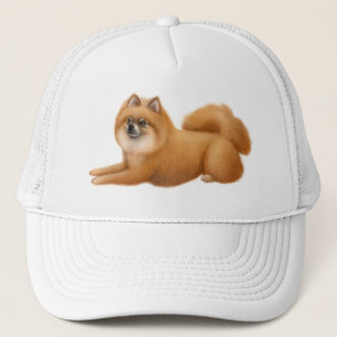 Spitz-Baseball-Hut Truckerkappe