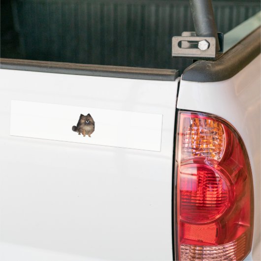 Spitz - Bindle Autoaufkleber (Auf Lkw)