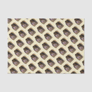 Spitz Black and Tan Malerei Original Hunde Kunst Seidenpapier