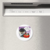 Spitz (blktan) Halloween Candy Magnet (In Situ (Geschirrspüler))