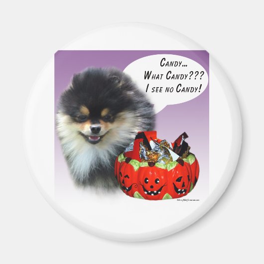 Spitz (blktan) Halloween Candy Magnet (Vorne)