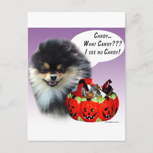 Spitz (blktan) Halloween Candy Postkarte (Vorderseite)