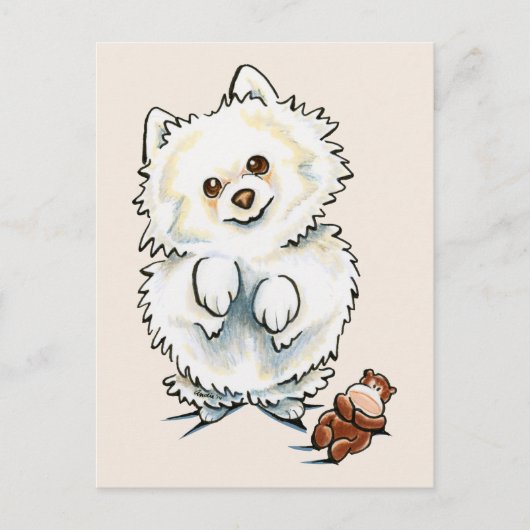 Spitz Boo Boo Postkarte (Vorderseite)