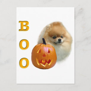 Spitz Boo Postkarte