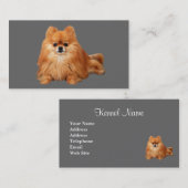 Spitz-Brüter-Geschäfts-Karte Visitenkarte (Vorne/Hinten)