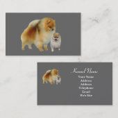 Spitz-Brüter-Geschäfts-Karte Visitenkarte (Vorne/Hinten)