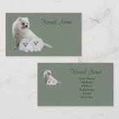 Spitz-Brüter-Geschäfts-Karte Visitenkarte (Vorne/Hinten)