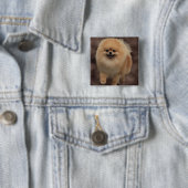 Spitz Button (Beispiel)