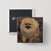 Spitz Button (Vorne & Hinten)