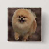 Spitz Button (Vorderseite)