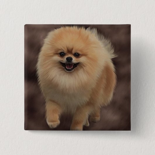 Spitz Button (Vorderseite)