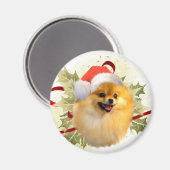 Spitz Christmas Magnet (Vorderseite/Rückseite)