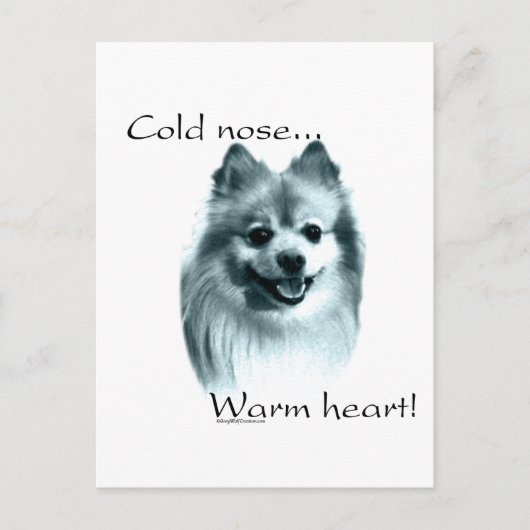 Spitz Cold Nose Warmes Herz Postkarte (Vorderseite)