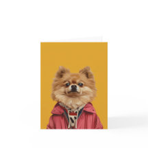 Spitz