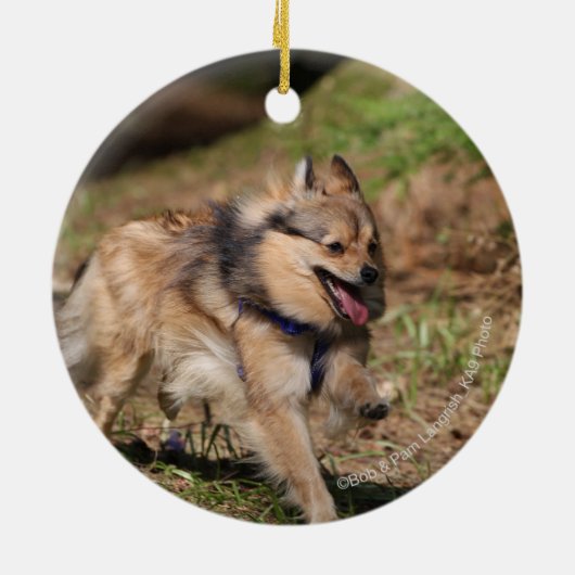 Spitz, der an mit Geschirr läuft Keramikornament (Hinten)