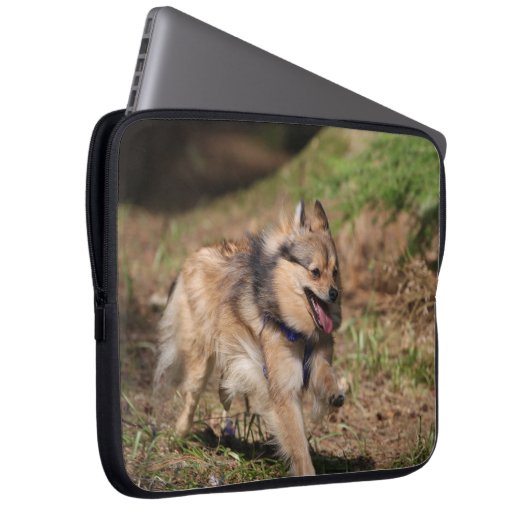 Spitz, der an mit Geschirr läuft Laptopschutzhülle (Vorne Rechts)