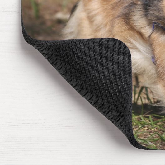 Spitz, der an mit Geschirr läuft Mousepad (Ecke)