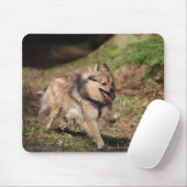 Spitz, der an mit Geschirr läuft Mousepad (Mit Mouse)