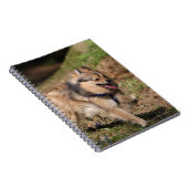 Spitz, der an mit Geschirr läuft Notizblock (Rechte Seite)