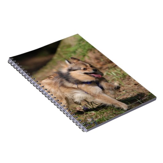 Spitz, der an mit Geschirr läuft Notizblock (Rechte Seite)