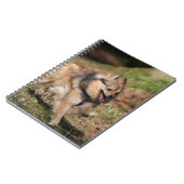 Spitz, der an mit Geschirr läuft Notizblock (Linke Seite)