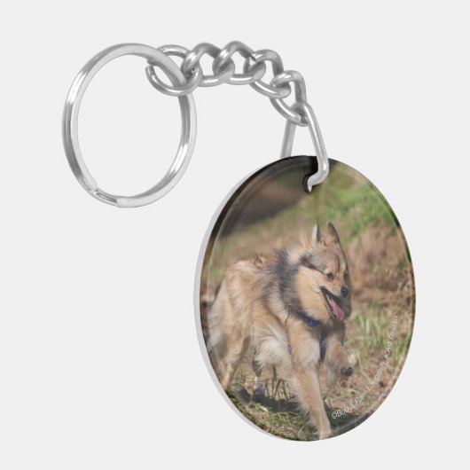 Spitz, der an mit Geschirr läuft Schlüsselanhänger (Vorderseite links)