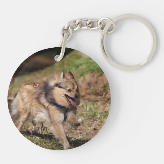 Spitz, der an mit Geschirr läuft Schlüsselanhänger (Rückseite)