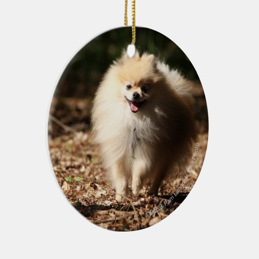 Spitz, der in das gefallene Blätter Trotting ist Keramikornament (Rechts)