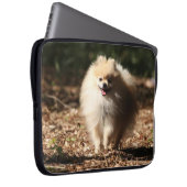Spitz, der in das gefallene Blätter Trotting ist Laptopschutzhülle (Vorne Rechts)
