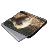Spitz, der in das gefallene Blätter Trotting ist Laptopschutzhülle (Vorne Knopf)