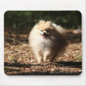 Spitz, der in das gefallene Blätter Trotting ist Mousepad (Vorne)