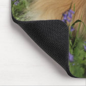 Spitz, der Kamera in den Bluebells betrachtet Mousepad (Ecke)