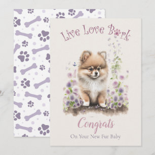 Spitz Dog Adoption, Gotcha Tag Karte