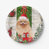 Spitz Dog Christmas Pappteller (Vorderseite)