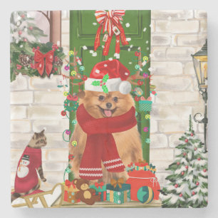 Spitz Dog Christmas Steinuntersetzer