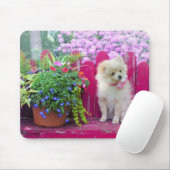 Spitz Dog Florals Rustikaler Garten Bench Szene Mousepad (Mit Mouse)