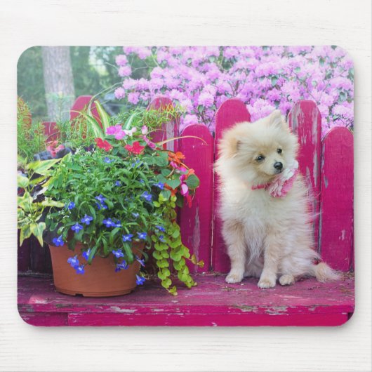 Spitz Dog Florals Rustikaler Garten Bench Szene Mousepad (Vorne)