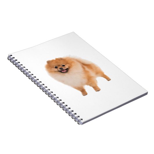 Spitz Dog Geschenk Notizblock (Rechte Seite)