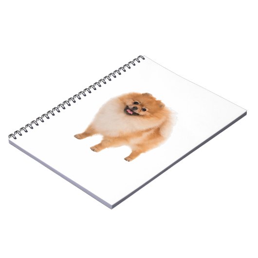 Spitz Dog Geschenk Notizblock (Linke Seite)