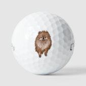 Spitz Dog Golfball (Vorderseite)