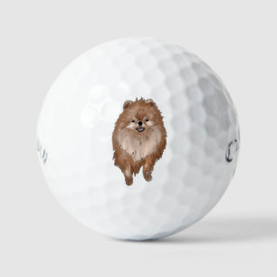 Spitz Dog Golfball