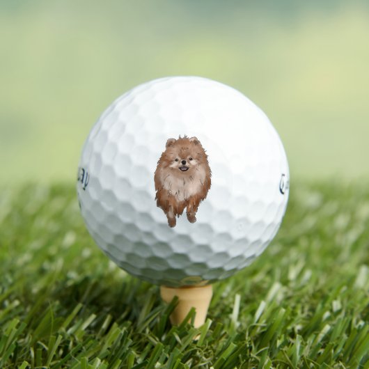 Spitz Dog Golfball (Insitu T-Shirt)