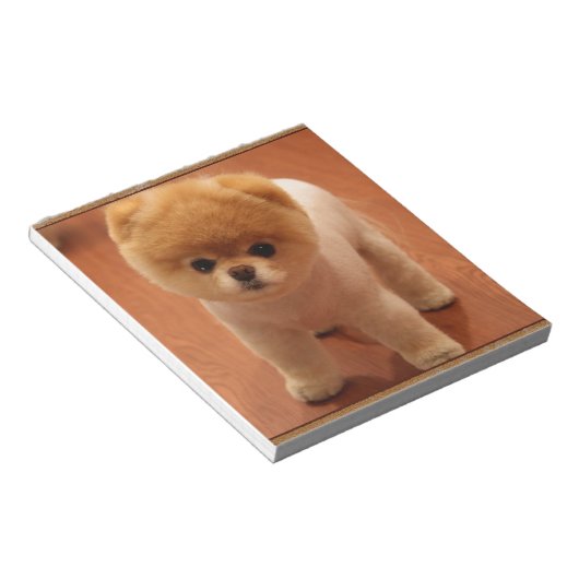 Spitz Dog Haustier Welpe Kleines Adortable Baby Notizblock (angewinkelt)