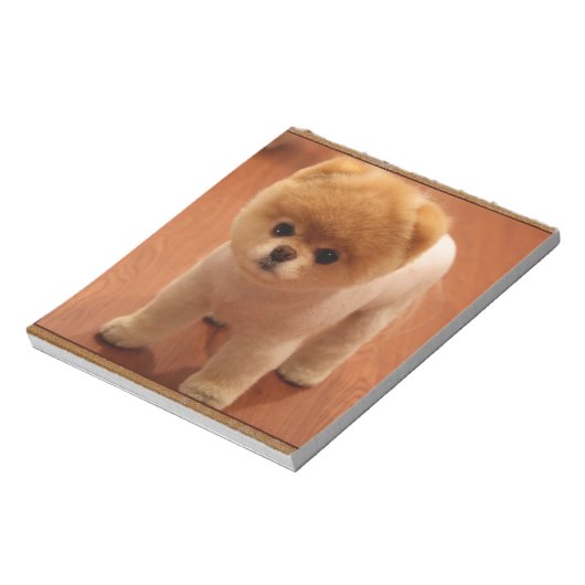 Spitz Dog Haustier Welpe Kleines Adortable Baby Notizblock (Rotiert)